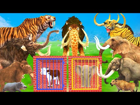 10 Mammoth Elephant Cow vs 10 Giant Tiger Wolf vs Dinosaur Fight Tiger Cub Saved by Woolly Mammoth