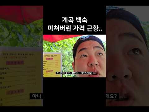 계곡 백숙 참교육