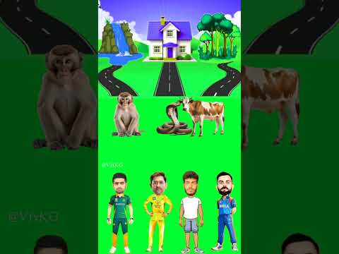 Animals Ka sahi ghar ? Monkey, Snake, Cow | Cartoon Shorts, Funny Vfx Shorts #shorts #ytshorts