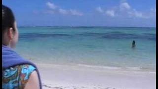 Toma Caribe