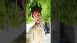 Dil to yai he #shorts#vidio#viral#trendig#🙏🙏🙏