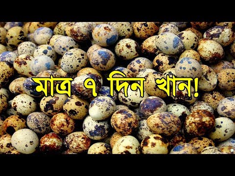 প্রতিদিন ৪ টি করে কোয়েল পাখির ডিম খেলে কি হবে জানেন? জানলে আজকেই খাওয়া শুরু করবেন ! জেনেনিন
