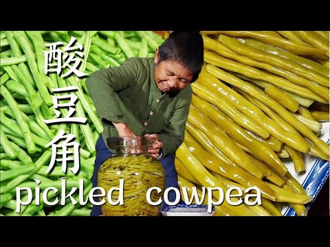 四季豆正季，简单传统的腌制方法做了酸菜豆，炒肉做馅都很美味