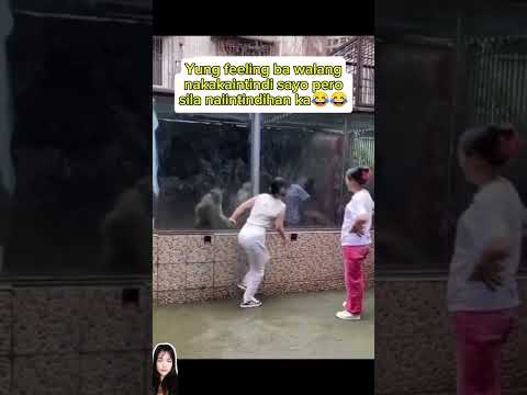 Nakakatuwa naman?#shortvideo #funny #funnyvideo #cttovideonotmine #comedy #comedymovies #funnycomedy
