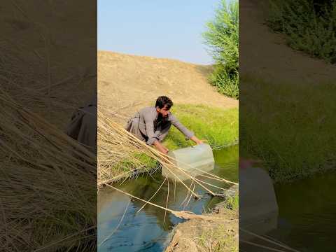 Bachye ko pani mein keo dala 😱