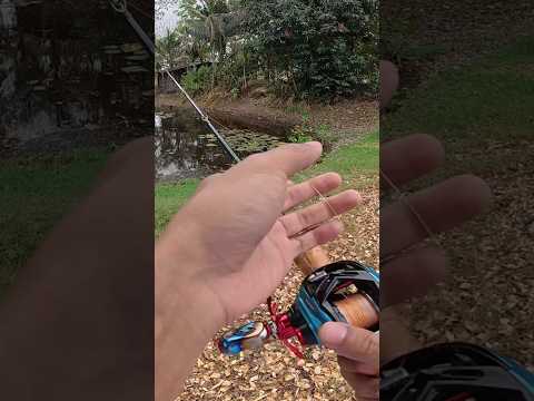 บางทีตกปลาก็ง่ายนิดเดียว.. เเจ๊คกี้ บางทีตกปลาก็ง่ายนิดเดียว..