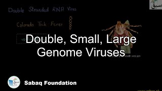 Double, Small, Large Genome Viruses