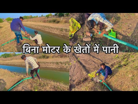 बिना मोटर के खेतों में पानी ले जाने का तरीका l dinu l  #villagelifestyle #farming #guruveervlogs