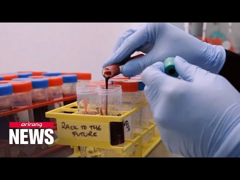 Study reveals AstraZeneca and Pfizer vaccines linked to rare neurological side effects