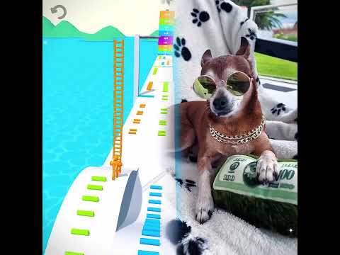 #fy #foryou #humor #animal #animals #😂😂😂🤣🤣🤣