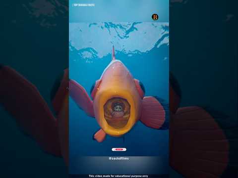 এরা মাছের সবচে বড় শত্রু🐠😮#shorts #ytshorts #fish