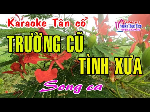 Karaoke tân cổ TRƯỜNG CŨ TÌNH XƯA – SONG CA  ( CHÍ TÂM – THANH KIM HUỆ ) Tân cổ trước 75