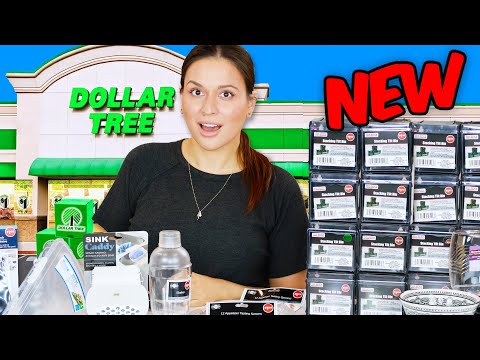 Dollar Tree July 2025 Secrets: Organize YOUR Life with $1.25