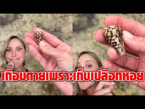 อุทาหรณ์! สาวเที่ยวทะเล เดินเก็บเปลือกหอยสวยงาม เกือบเสียชีวิต ชาวเน็ตจวกยับ ไม่ควรนำกลับบ้าน: RECAP