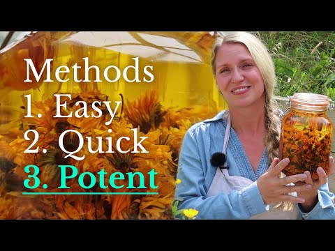 Three Ways to Make Calendula Oil (Easy, Quick, & POTENT)