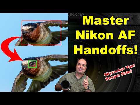 Master Nikon AF Handoffs on Z8, Z9, and Z6iii for Jaw-Dropping Action Shots!