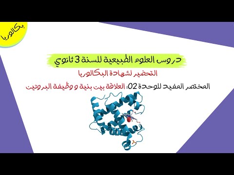 المختصر المفيد للوحدة 02: العلاقة بين بنية و وظيفة البروتين | بكالوريا علوم تجريبية و رياضيات