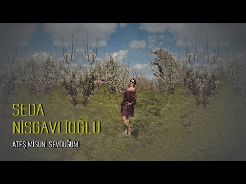 Seda Nisgavlioğlu –Ateş misun Sevduğum | Single © 2025 Anadolu Müzik