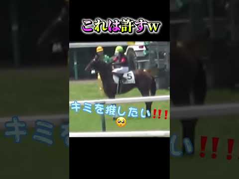 周りに合わせるの大変だし疲れるよね笑#競馬#競艇#競輪#ギャンブル#ギャンブル依存症#癒し