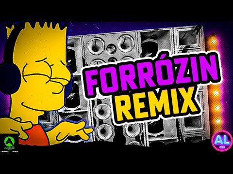 FORRÓZINHO 2025 AS MELHORES - PLAYLIST AS MAIS TOCADAS TIKTOK 2025 - FORRÓZIN REMIX PRA PAREDÃO