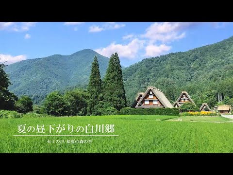 [環境音/ASMR]夏の昼下がりの白川郷/セミの声、夏の昼の音/8時間/@SoundForest-main