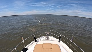 Week 36 Ep2 America's Great Loop WE RAN AGROUND! Stuck keel in the mud Family visit Savannah GA tour