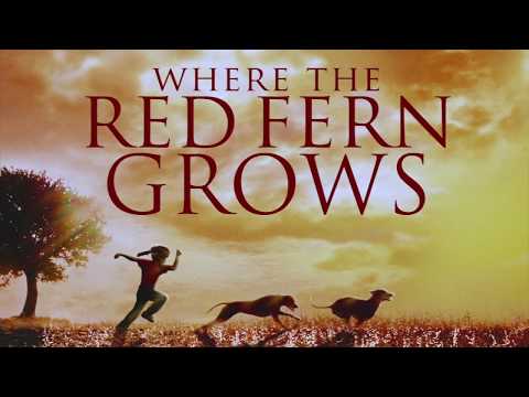 Where the Red Fern Grows - Trailer