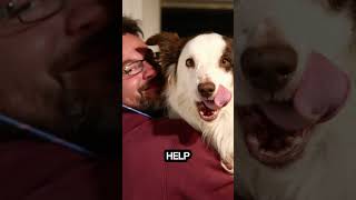 How to keep dogs safe during July 4th fireworks