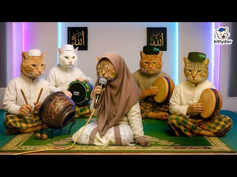 ALLAHUL KAFFI ROBBUNAL KAFFI MIX SHOLAWAT BADAR VIDEO KUCING SHOLAWAT TERBARU VERSI HADROH KITTYDAV