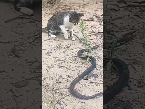 āĻā§āϞ āĻāϰā§āĻ āĻā§āĻ āĻāĻ āĻāĻŋāĻĄāĻŋāĻāĻāĻŋ āĻāĻĄāĻŧāĻŋāϝāĻŧā§ āϝāĻžāĻŦā§āύ āύāĻž āĻ
āĻšāĻāĻāĻžāϰ āĻāϰāϞā§āĻ āĻŦāĻŋāĻĒāĻĻ āĻāϝāĻŧ āĻŽāĻž āĻŽāύāϏāĻž đā§āĻĻāĻŋāύā§āϰ āĻŽāϧā§āϝ⧠āĻāĻžāĻā§āϝ āĻŦāĻĻāϞ⧠āϝāĻžāĻŦā§