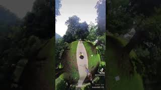 დენდროლოგოური 360 ში 😍