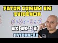 Factoring Common Factors in Algebra