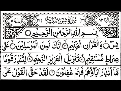 Surah Yaseen | Surah Rahman | Daily Quran Tilawat Surah Yasin Surah Rahman Full With Arabic | Ep 056