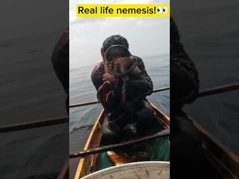 Real Life Nemesis mantap!