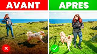 Chien excité face aux stimuli – démo devant 100 éducateurs canins