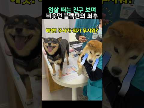 엄살 떠는 친구 보며 비웃던 블랙탄의 최후