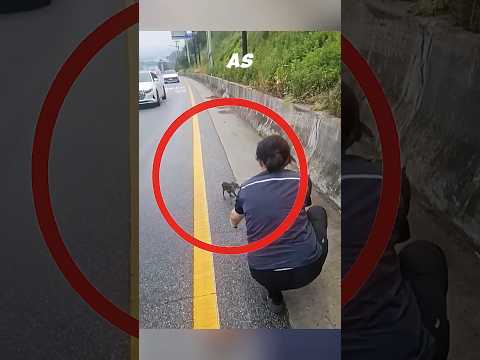 The girl found a newborn fawn π¦#shorts #deer