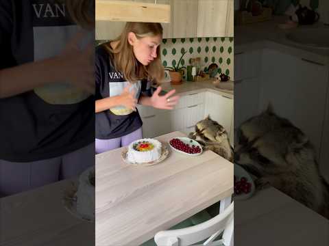 ЕНОТ ТЁМА ИСПОРТИЛ ПЛАТЬЕ ЛЕНЕ