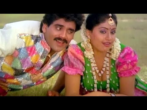Janaki Ramudu Movie Video song Juke Box | Nagarjuna, Vijaya Shanti | Telugu Classical Songs
