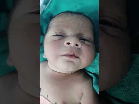 little fighter in the world #cricket #cutebaby #bestfeed #viralvideo #capcut #cartoon