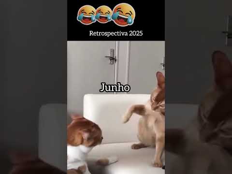 Desse jeito 馃ぃ馃ぃ馃ぃ馃ぃ