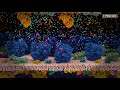 Neurotransmitter Functions and Mechanisms