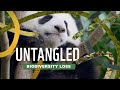 Biodiversity and Ecosystem Importance