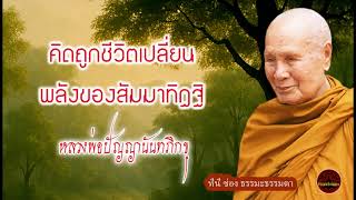 คิดถูก ชีวิตเปลี่ยน พลังของสัมมาทิฏฐิ เสียงเทศน์ หลวงพ่อปัญญานันทภิกขุ (ไม่มีโฆษณาแทรก)