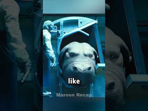 Would You like to Taste a Pig That Looks like a Hippo? #shorts