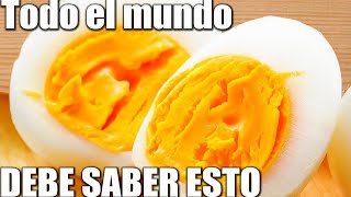 ¿Qué Pasaría Si Comieras 1 Huevo Al Día?