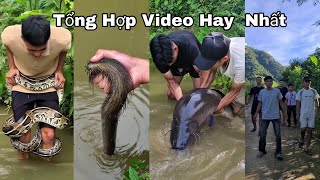Tổng Hợp Video Hay Nhất Tuyền Vlog
