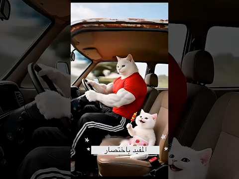كرتون بسبوس يصنع سياره جديده لابوه 🙀🚗