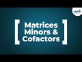 Cofactors and Minors in Determinants