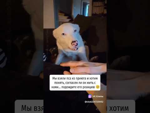 Кроха обрел новый дом 🏠